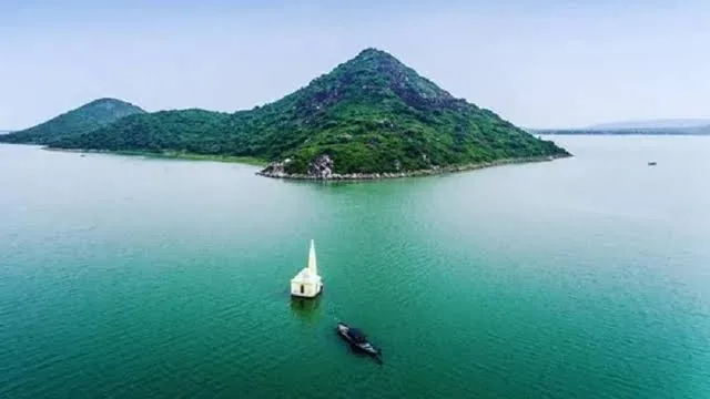 Migratory birds over water