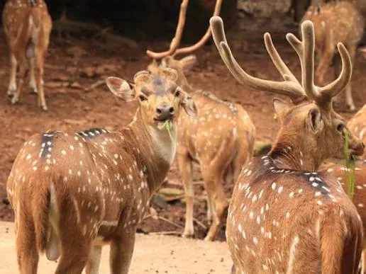 Wildlife at the sanctuary